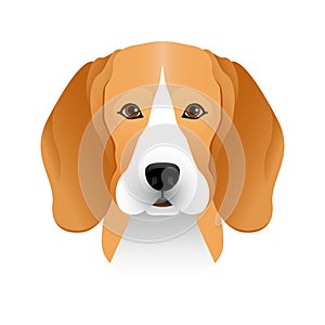 Isolated colorful head and face of beagle on white background. Line color flat cartoon breed dog portrait.