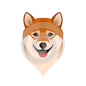 Isolated colorful head and face of happy shiba inu on white background. Color flat cartoon breed dog portrait