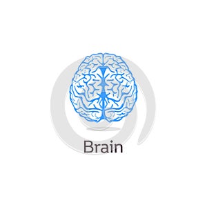 Isolated colorful vector brains. Medical logo.Scientifical logotype. Neurobiology emblem. Intelligence image. Human photo