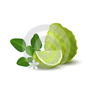 Isolated colorfull green whole and slice of juicy bergamot, kaffir lime with green leaves, white flower and shadow on white backgr