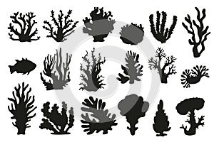 Isolated coral on white background. Set. Different type of corals with rider silhouette