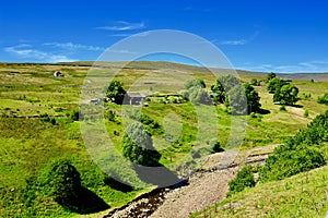 Isolated cottages in Weardale photo