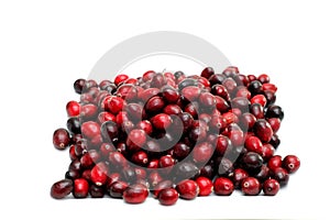 Isolated Cranberries