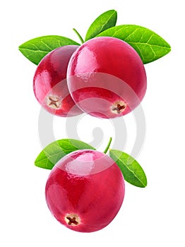 Isolated cranberries