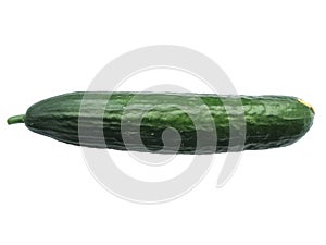 Isolated cucumber photo