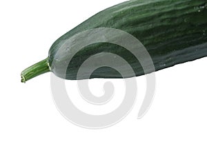 Isolated cucumber ending