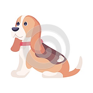 Isolated cute beagle dog breed cartoon Vector