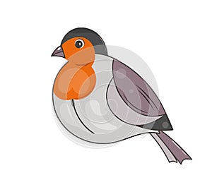 Isolated cute bullfinch. Winter bird. Vector illustration of drawings on a white background. Flat style. For the design