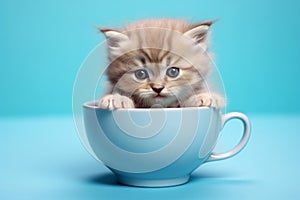 Isolated cute cat blue background Generative AI