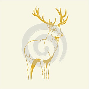 Isolated deer illustration. Handdrawn Vintage feel. Perfect for Logo, and any other purposes