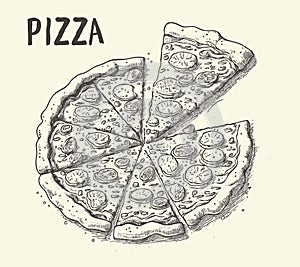 Isolated Detail Vintage Hand Drawn Food Sketch Illustration of Pizza