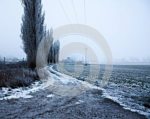 Isolated dirt road winds through a snow-covered landscape, with trees and shrubbery