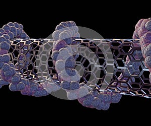 Isolated DNA strands wrapped around carbon nanotubes