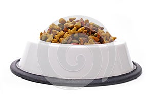 Isolated Dog Dish