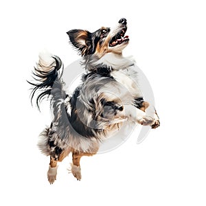 Isolated dog jumping on transparent background ai generated photo