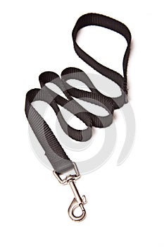 Isolated dog lead