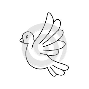 Isolated dove Belen draw vector illustration