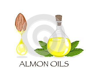 Isolated a drop of almond oils from almond seed and glass bottle