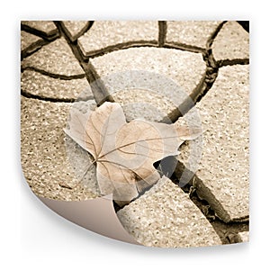 Isolated dry leaf on dry ground - concept image