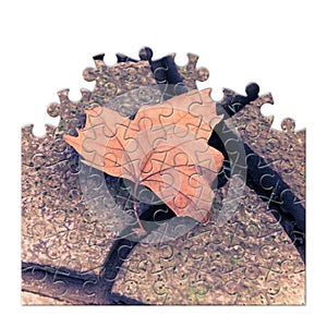 Isolated dry leaf on the ground - concept image in jigsaw puzzle