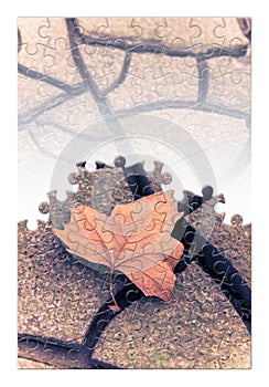 Isolated dry leaf on the ground - concept image in jigsaw puzzle shape