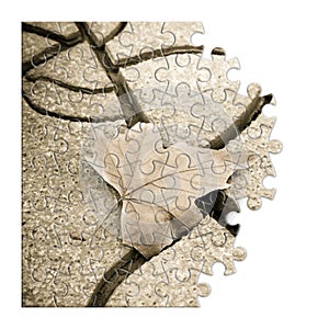 Isolated dry leaf on the ground - concept image in puzzle shape