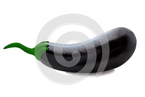 Isolated eggplant. One-piece on a white background with clipping path as an element of packaging design, flyers for supermarkets