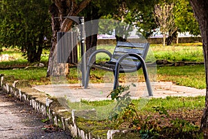 Isolated empty bench in a park on a sunny day