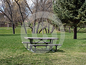 Isolated, Empty Picnic Table in Park