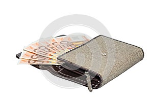 Isolated fabric women's purse wallet with 50 euro banknotes