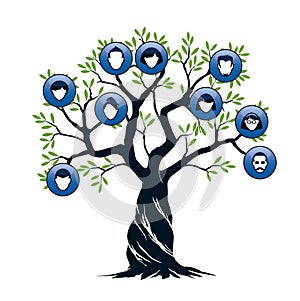 Isolated Family Tree on white background. Vector Illustration and concept. Plant and genealogy