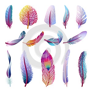 Isolated feather collection. Colorful fantasy feathers, peacock bird tail element. Isolated festive decorative plumage