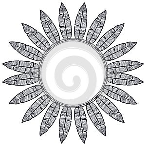 Isolated feather plume and circle design