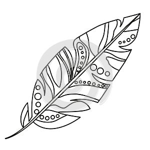 Isolated feather plume design