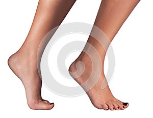Isolated Female Foot photo