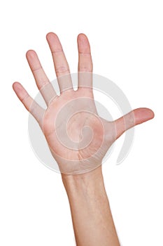 Isolated female hand