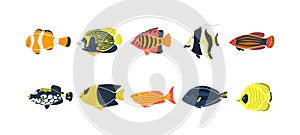 Isolated fish illustration. Set of freshwater aquarium cartoon fishes.