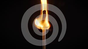 Isolated flame burning on a match on a black background