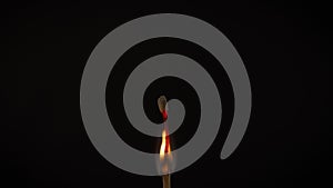 Isolated flame burning on a match on a black background