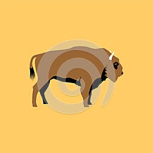 Isolated flat bison. Wild animal character icon