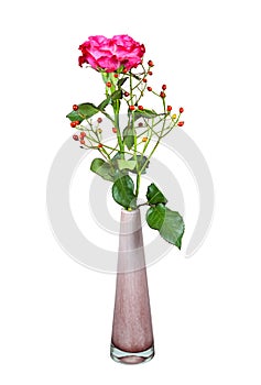 Isolated flower arrangement with a rose in a glass vase