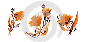 isolated flower broach illustratio ambercoloured on white background