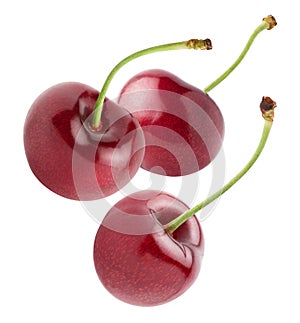 Isolated flying cherries. Three cherry fruits isolated on white background with clipping path