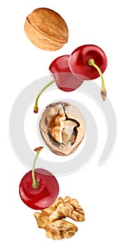 floating cherry fruits and walnuts isolated on white background photo