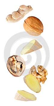 floating walnuts and ginger isolated on white background photo