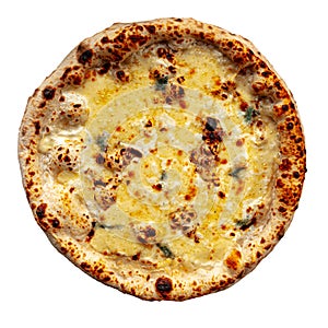 Isolated four cheese neapolitan pizza on the white photo