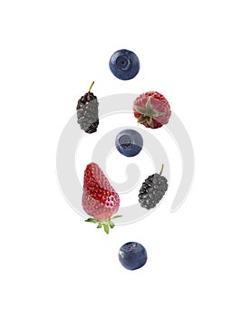 Isolated fresh berries float in the air. Falling mulberry, blueberry, raspberry and strawberry fruits isolated on white background