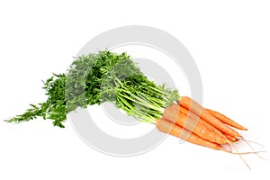 Isolated Fresh Bunch Of Carrots