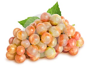 Isolated fresh Grapes. Bunch of ripe grape fruit with leaves isolated on white background, with clipping path.
