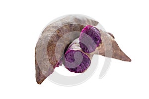 isolated fresh steamed purple sweet potatoes